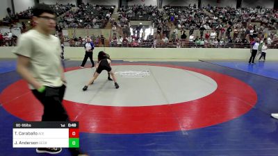 90-95 lbs Semifinal - Torrey Caraballo, Ace Academy vs Jaxon Anderson, Georgia