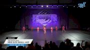 The Dance Vault - Mini Elite Small Jazz [2025 Mini - Jazz - Small Day 1] 2025 Power Dance Grand Nationals