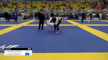 EDILSON NOGUEIRA BORGES vs DIOGO ALVES FIGUEIRA 2024 Brasileiro Jiu-Jitsu IBJJF