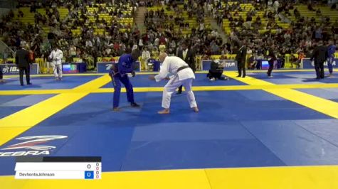 Steven Rudic vs Devhonte Johnson 2018 World IBJJF Jiu-Jitsu Championship