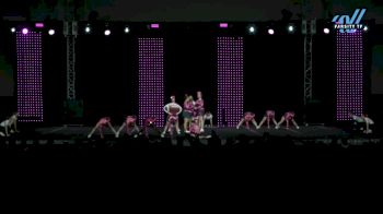 ICE - Blue Dynasty [2025 CheerABILITIES - Elite Day 2] 2025 ASC King of the Jungle Schaumburg Showdown