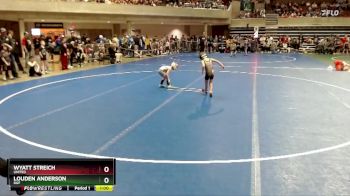 40 lbs Cons. Round 2 - Louden Anderson, DGF vs Wyatt Streich, UNITED