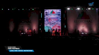 Victory Vipers - Mini Mambas [2025 L1 Mini - Novice - Restrictions Day 1] 2025 The Northeast Regional Summit