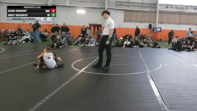 56 lbs Round 3 (4 Team) - Gabe Diemert, Westshore WC vs Grey Moenich, Ohio Gold