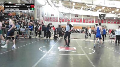 175 lbs Quarterfinal - Vincent DeMaio, Methuen vs Joseph Karvelis, Xaverian
