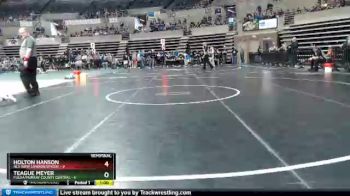 115 lbs Semis (4 Team) - Holton Hanson, NLS (New London/Spicer) vs Teague Meyer, Fulda/Murray County Central