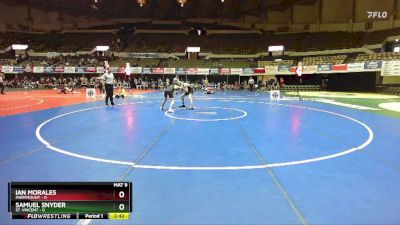 125 lbs Quarters & Wb (16 Team) - Samuel Snyder, St. Vincent vs Ian Morales, Marymount