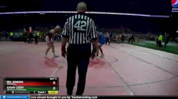 D2-285 lbs Semifinal - Ira Jenkins, Whitehall vs Gavin Leigh, Ortonville Brandon