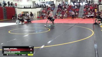 138 lbs Cons. Round 3 - Daniel Mitchell, Fulton (H.S.) vs Waylon Daughetee, Dubuque Hempstead