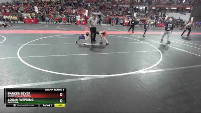 54 lbs Champ. Round 1 - Parker Beyer, Oconto Falls/Abrams vs Logan Wepking, Westfield