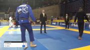 DIOGO ARAUJO vs MATHEUS DINIZ 2018 Pan Jiu-Jitsu IBJJF Championship