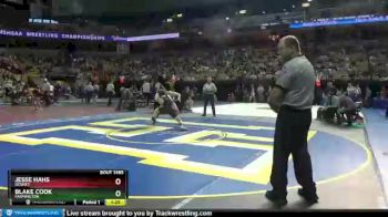 132 lbs Quarterfinal - Blake Cook, Farmington vs Jesse Hahs, DeSmet