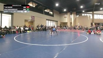 138 lbs Cons. Round 4 - Ali Salem, United Wrestling Of Katy vs Cole DesOrmeaux, Brother Melchior Wrestling Clu