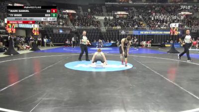 141 lbs Quarterfinal - Mark Samuel, Roanoke vs Ty Bisek, Concordia-M`head