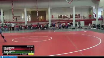 125 lbs Semifinal - Shay Horton, Thomas More vs Noah Cantu, Indianapolis