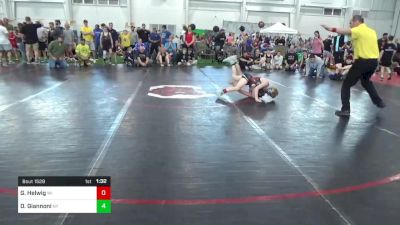 90-J lbs 3rd Place - Gunnar Helwig, WI vs Dominic Giannoni, NY