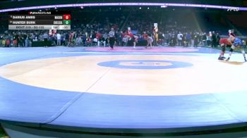 D2-132 lbs Cons. Round 3 - Hunter Burk, Chelsea vs Darius Ambs, Mason