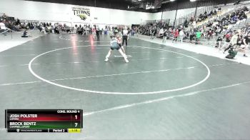 132 lbs Cons. Round 6 - Bo Davis, Wittenberg-Birnamwood vs Parker Neu, Hartford