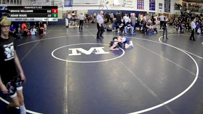 139 lbs Cons. Round 3 - Brock Williams, Ringgold Hs vs Adam Ware, Avella Area Hs