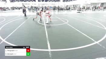 109 lbs Consi Of 16 #2 - Luke Ferguson, Dominate WC vs Cody Brickell, Westside WC