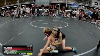 60 lbs Round 7 (8 Team) - Logan Palermo, New England Gold vs Axl Cross, Junior Terps