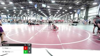 113 lbs Rr Rnd 3 - Colton Hepp, Tallwood Wrestling Club vs Mike Morris, MetroWest United Black