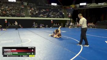 157 lbs Cons. Round 3 - Damion Jones, Huntingdon vs Kameron Hanel, Augustana (IL)