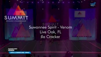 Suwannee Spirit - Venom [2025 L4.2 Senior Coed - Small Prelims] 2025 The D2 Summit
