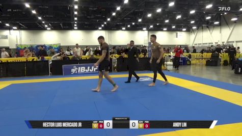 Andy Lin vs Hector Luis Mercado Jr 2025 World IBJJF Jiu-Jitsu No-Gi Championship