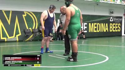 285 lbs Champ. Round 1 - James Woolfork, Elyria Catholic vs Jamie Anderson, Olmsted Falls