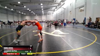 197 lbs Quarterfinal - Nero Bono, Keystone College vs Cameron Butka, Wilkes