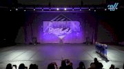 The Dance Vault - Tiny Elite Pom [2025 Tiny - Pom Day 1] 2025 Power Dance Grand Nationals