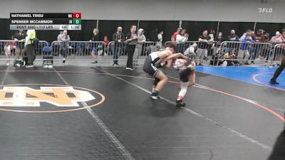 113 lbs Round Of 64 - Nathaniel Trieu, WA vs Spenser McCammon, IN