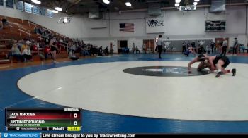 133 lbs Semifinal - Jace Rhodes, Iowa vs Justin Fortugno, Wisconsin-Whitewater
