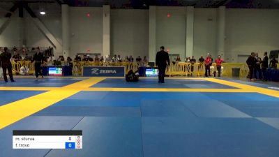 Melor Sturua vs Felipe Trovo 2019 American National IBJJF Jiu-Jitsu Championship