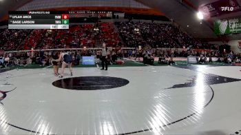 G 185 lbs Cons. Round 2 - Sage Larson, Twin Falls vs Lylah Arce, Parma