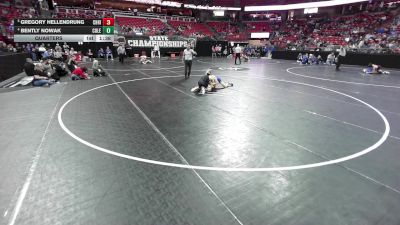 113 lbs Quarters - Gregory Hellendrung, Chilton/Hilbert vs Bently Nowak, Coleman