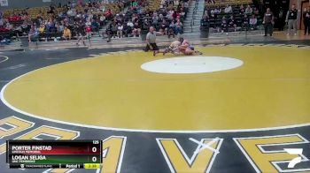 125 lbs Quarterfinal - Logan Seliga, UNC Pembroke vs Porter Finstad, Lincoln Memorial