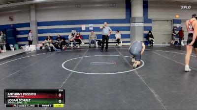 210 lbs Round 5 (8 Team) - Logan Schulz, AACO Allstars vs Anthony Pizzuto, MD Maniacs