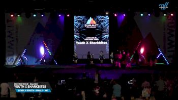 Cheer Extreme - Raleigh - Youth X Sharkbites [2025 L4 Youth - Small - WC Day 2] 2025 The Youth Summit