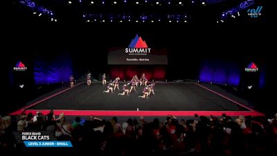 Fierce Idaho - Black Cats [2025 L3 Junior - Small Semis] 2025 The Summit