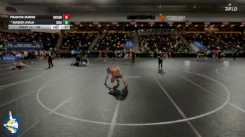 132 lbs Prelim - Francis Burke, Chicago (Mt. Carmel) vs Mason Avila, Decorah