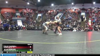 175 lbs Semifinals (8 Team) - Calix Campbell, Hudson Area HS vs JR Hildebrand, Martin/Climax Scott HS