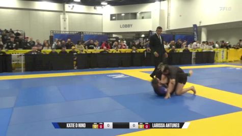 Larissa Antunes vs Katie D Nino 2024 World IBJJF Jiu-Jitsu No-Gi Championship