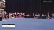 Kiersten Swart - Women's Group, Somersaults Gymnastics Center - 2021 Women's Xcel Region 4 Championships