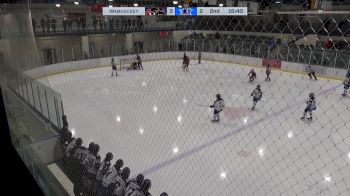 Replay: Home - 2025 Cougars U18 AAA vs Norman U18 AAA | Jan 11 @ 6 PM