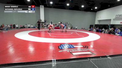 175 lbs Brody Sendele, Illinois Freestyle vs Nathaniel Replogle, Pennsylvania Blue