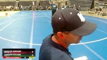 115 lbs Semis & 1st Wrestleback (8 Team) - Payton Miller, WEM/JWP vs Clayton Birkholz, HLWW