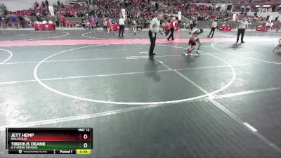 100 lbs Cons. Semi - Jett Hemp, Neillsville vs Tiberius Deane, A-F Green Demons