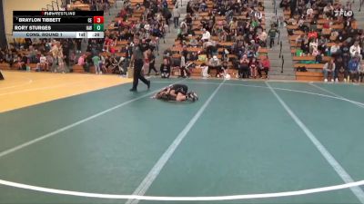 70 lbs Cons. Round 1 - Rory Sturges, Immortal Athletics WC vs Braylon Tibbett, Chippewa Elite